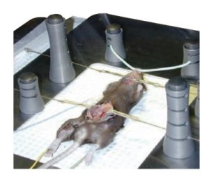animsurgkit