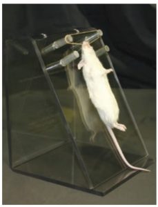 biostand