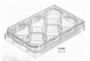 162 0061
