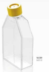 165 2501